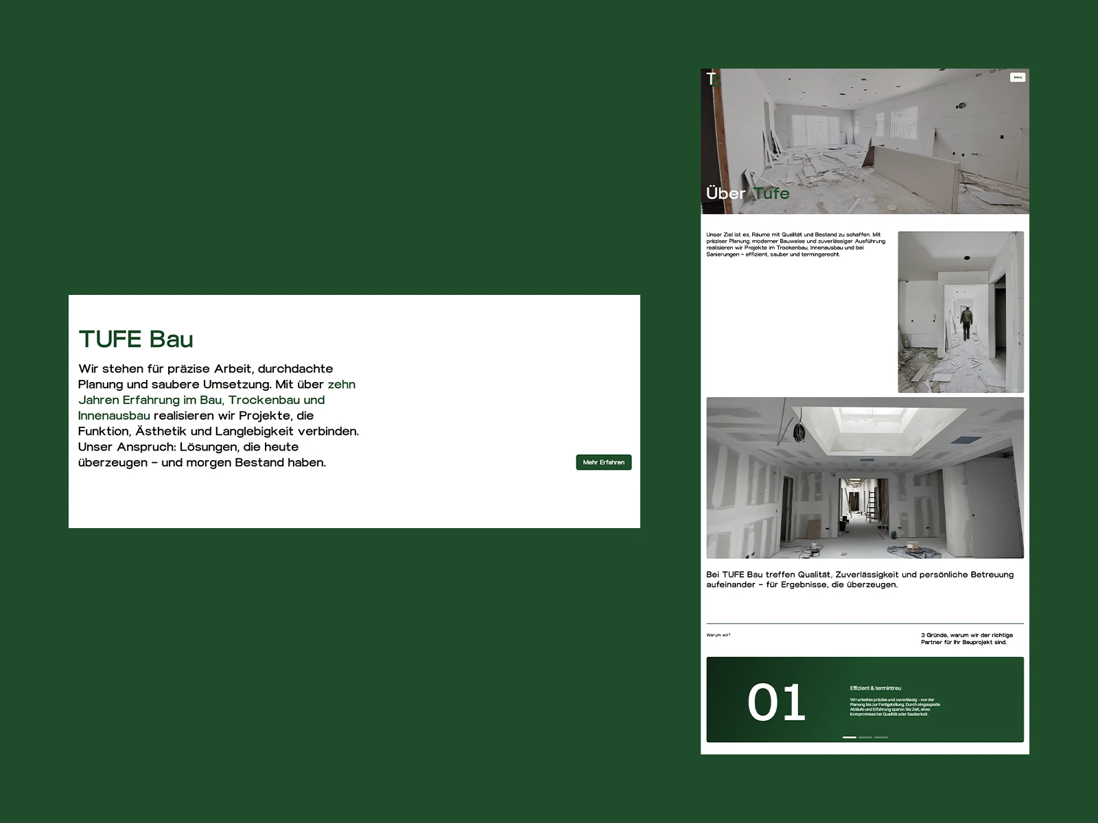 TUFEBAU website interface detail