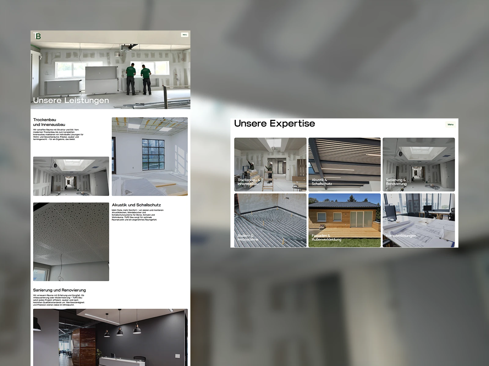TUFEBAU website interface detail