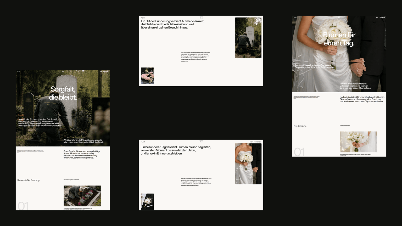 VLASI e-commerce interface showcase