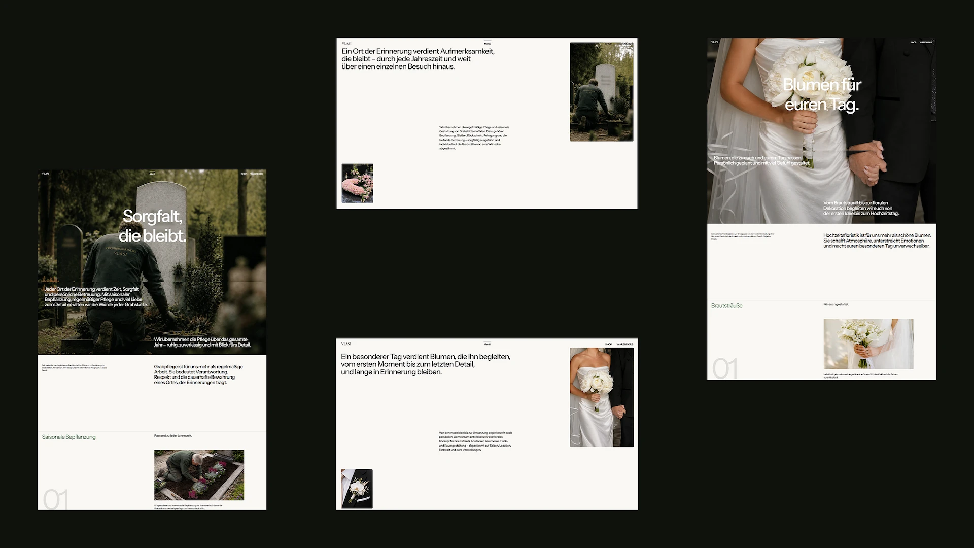 VLASI e-commerce interface showcase